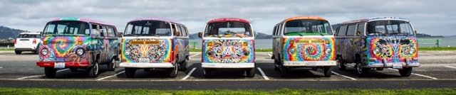 SF Love Tours fleet of VW Hippie Buses