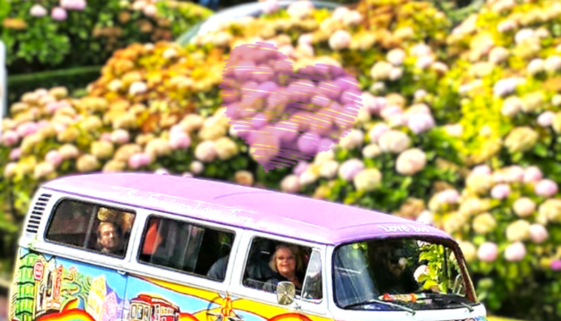 San Francisco Bus Tour